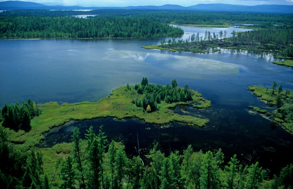 Na zdjęciu widać wodne rozlewiska wśród lasów