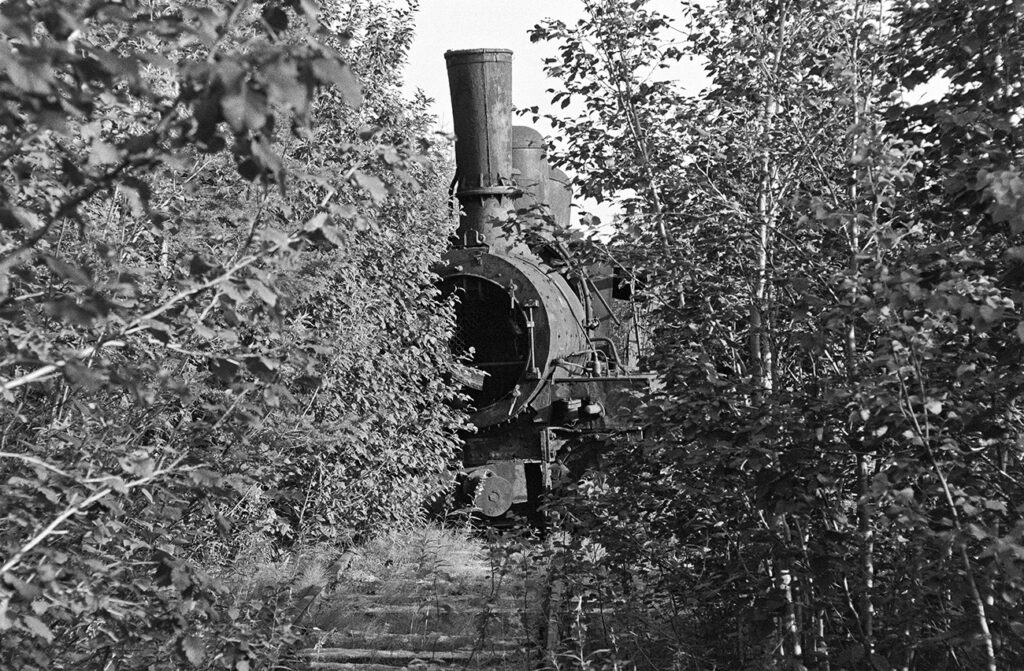 A railway engine abandoned in the forest