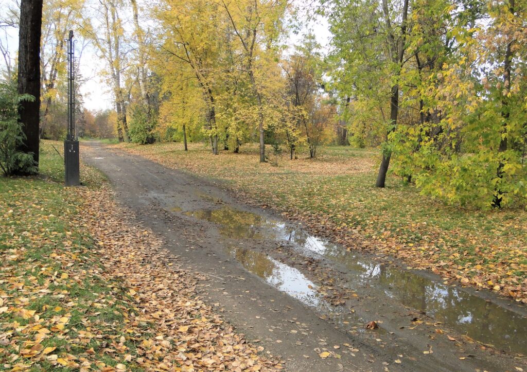 A road in the park in Autumn