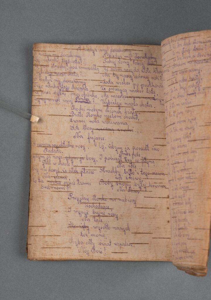 Odręczny tekst wypisany niebieskim atramentem na korze brzozowej